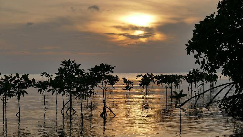 Amantra Lake View Resort - Genel