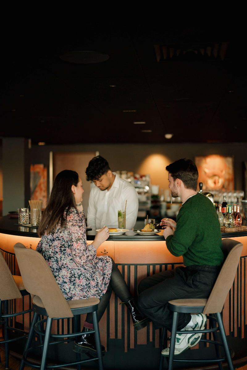 Radisson Blu Hotel Bordeaux - Genel