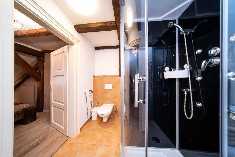 Old Town - Aparthotel Michalska - Oda