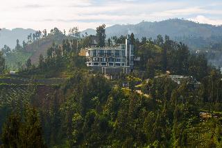 Plataran Bromo otel fotoğrafı