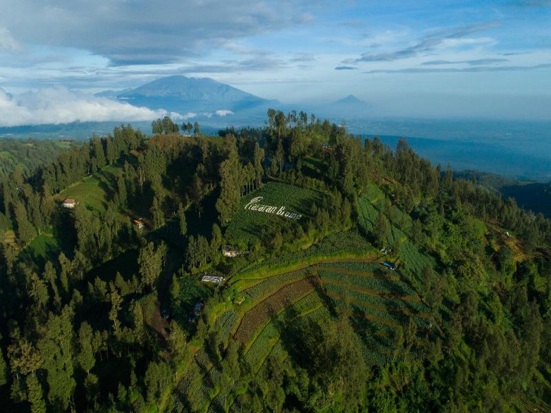 Plataran Bromo - Genel