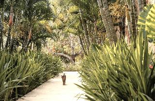 Origin Lombok fotoÄŸrafÄ±