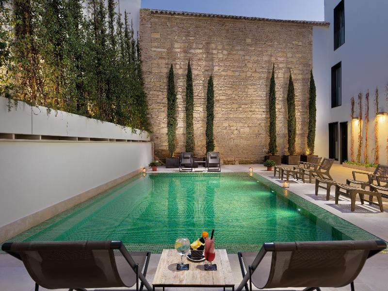 H10 Palacio Colomera - Havuz