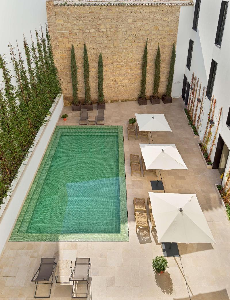 H10 Palacio Colomera - Havuz