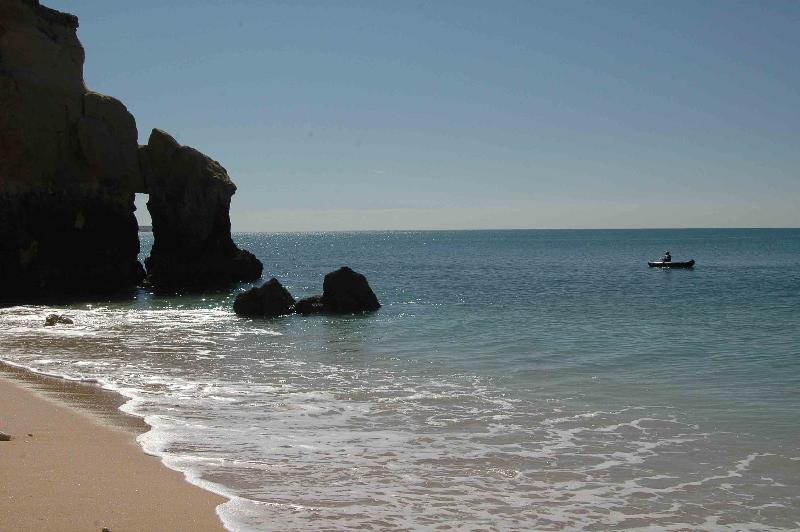 Turiquintas - Genel