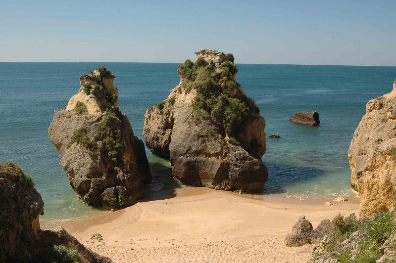 Turiquintas - Genel