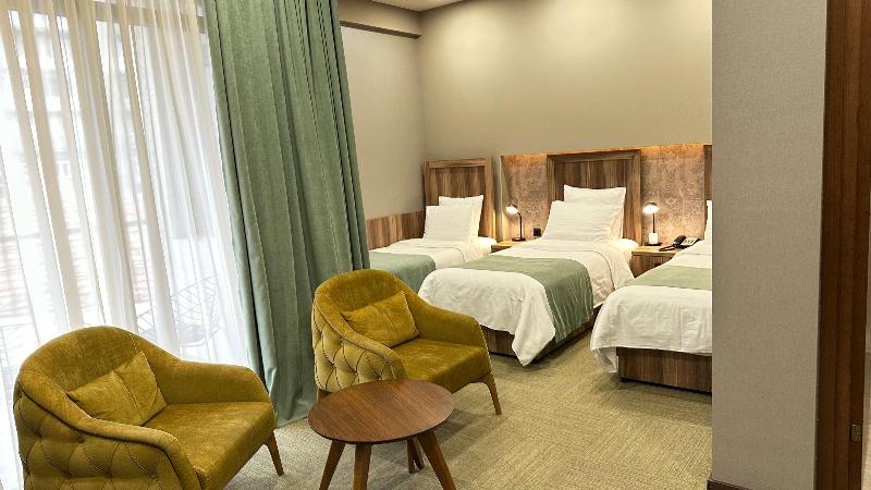 Best Western Tbilisi City center - Oda