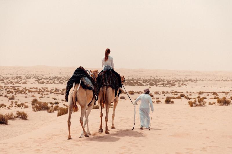 Al Wathba, a Luxury Collection Desert Resort & Spa - Genel