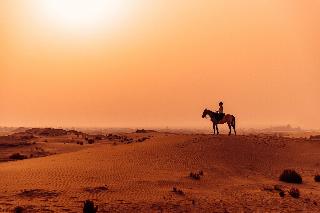 Al Wathba, a Luxury Collection Desert Resort & Spa fotoÄŸrafÄ±