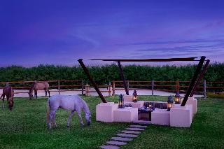 Al Wathba, a Luxury Collection Desert Resort & Spa fotoÄŸrafÄ±