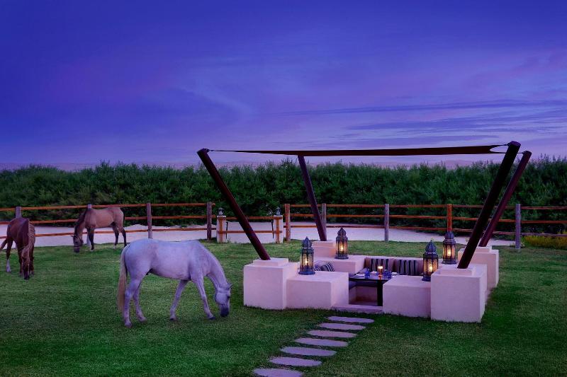 Al Wathba, a Luxury Collection Desert Resort & Spa - Genel