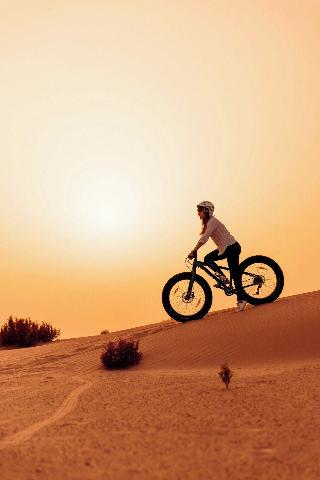 Al Wathba, a Luxury Collection Desert Resort & Spa fotoÄŸrafÄ±