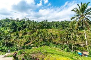 Umaya Ubud Villa fotoÄŸrafÄ±