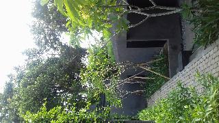 Origin Ubud fotoÄŸrafÄ±