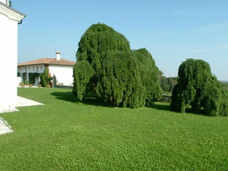 Villa Policreti - Genel