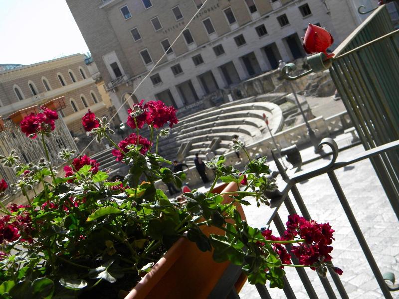 ALVINO - Genel