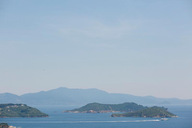 Skiathos Gea Villas - Oda