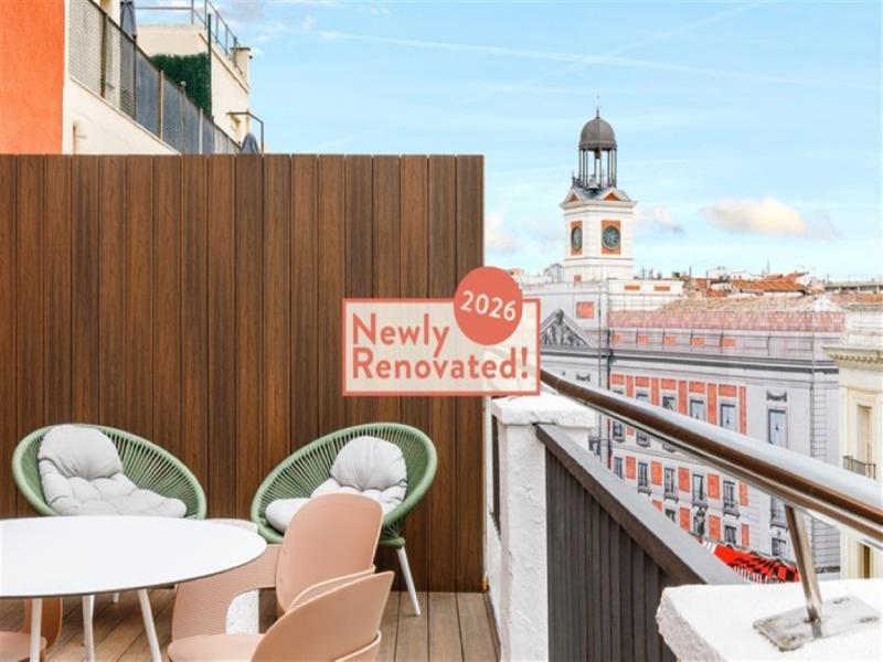Petit Palace Puerta del Sol - Genel