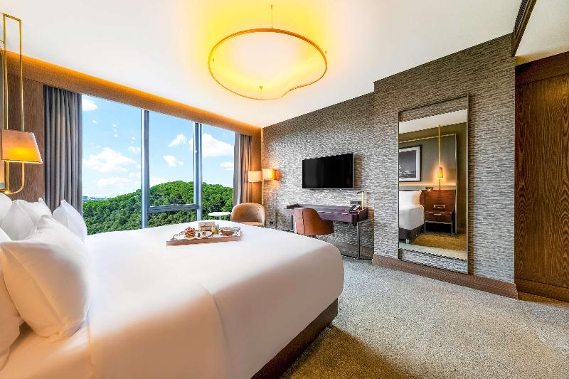 Radisson Collection Hotel Vadistanbul - Genel