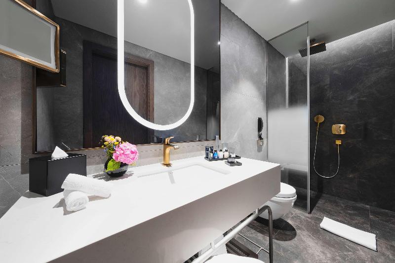 Radisson Collection Hotel Vadistanbul - Oda