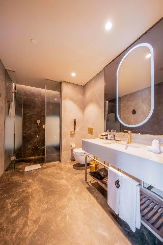 Radisson Collection Hotel Vadistanbul fotoÄŸrafÄ±