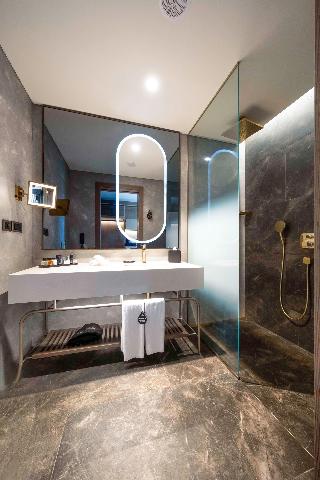 Radisson Collection Hotel Vadistanbul fotoÄŸrafÄ±