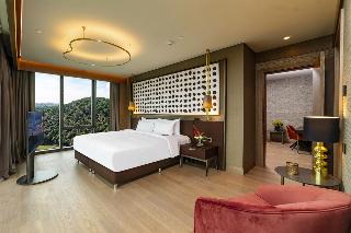 Radisson Collection Hotel Vadistanbul fotoÄŸrafÄ±