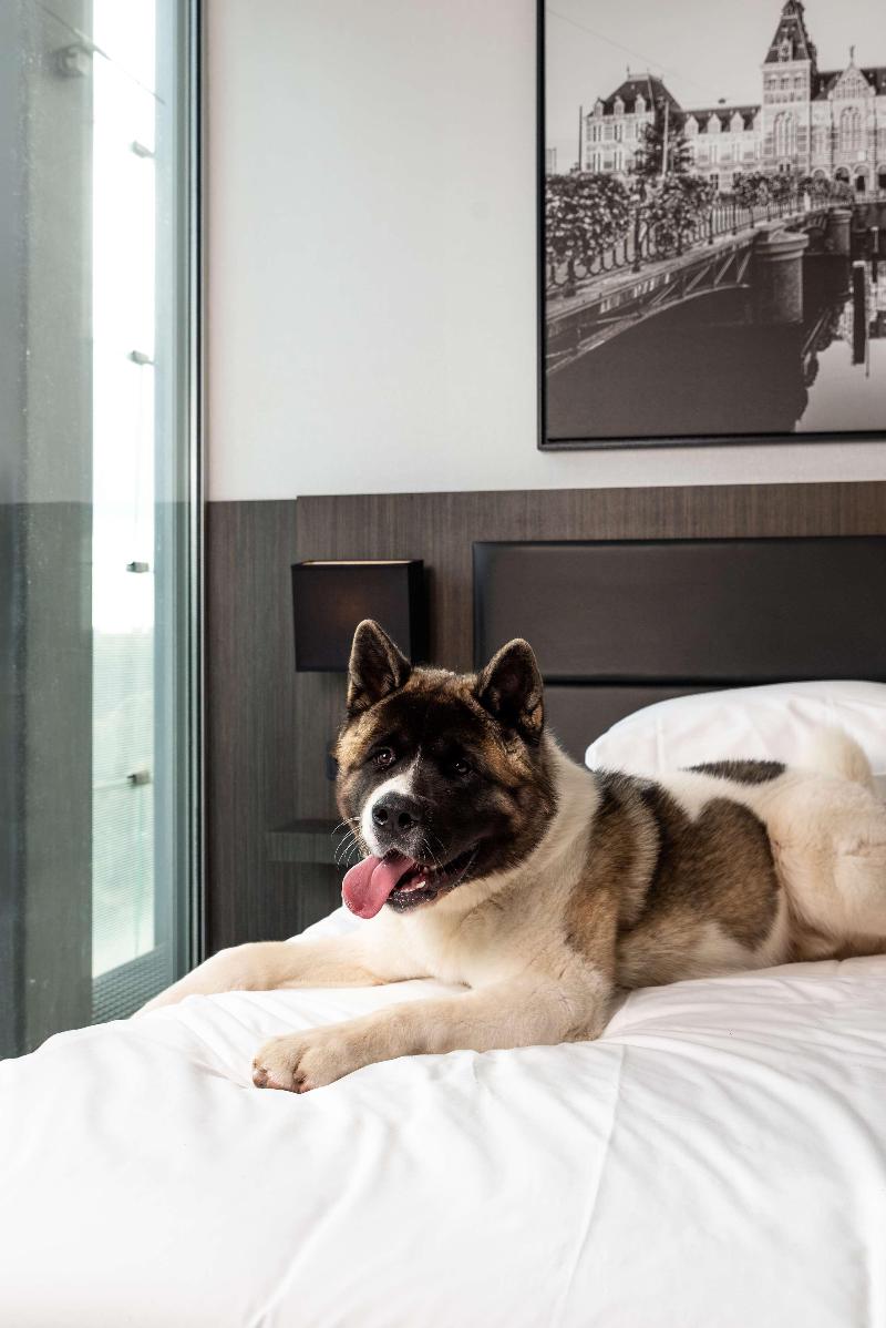 Radisson Hotel & Suites Amsterdam South - Oda