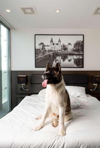 Radisson Hotel & Suites Amsterdam South fotoÄŸrafÄ±