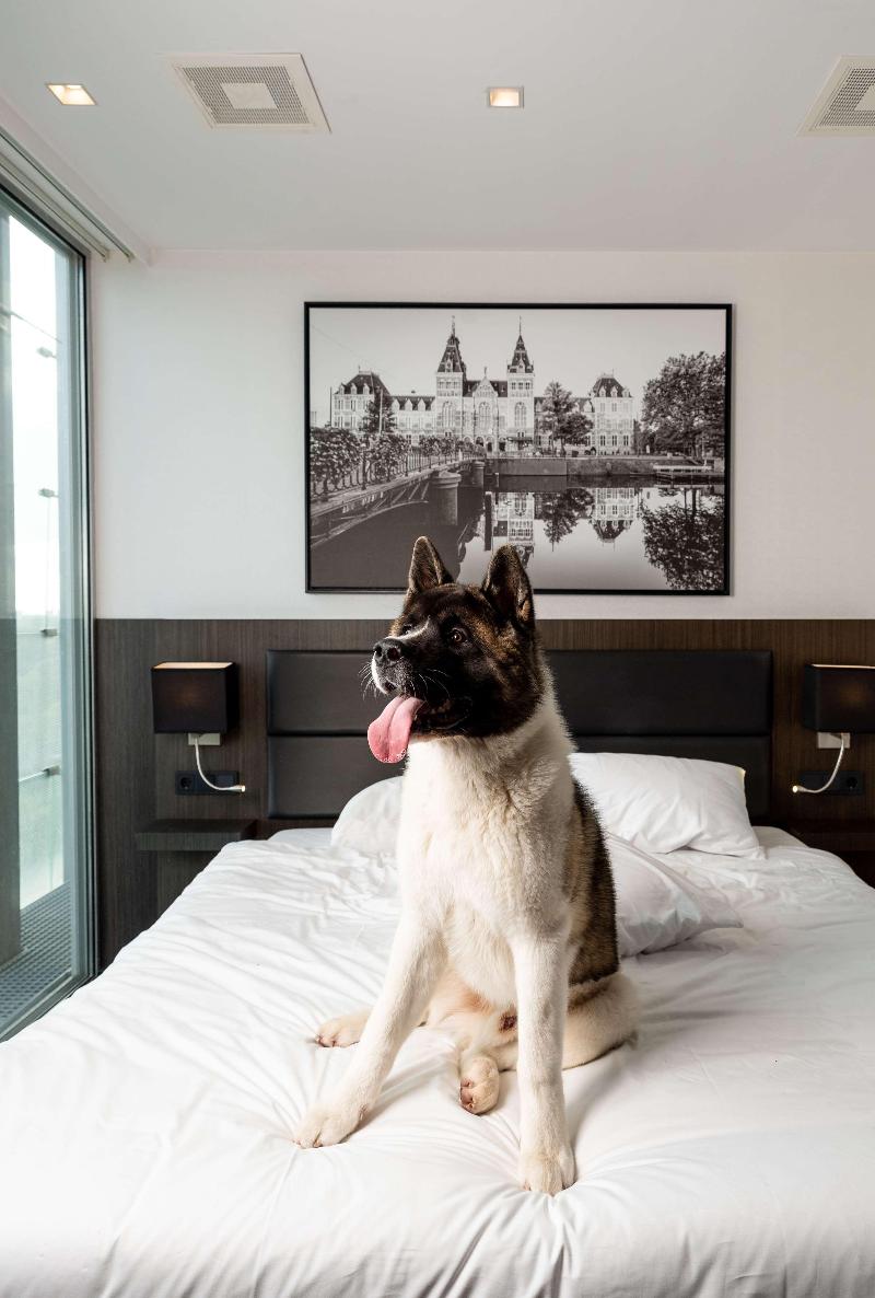 Radisson Hotel & Suites Amsterdam South - Oda