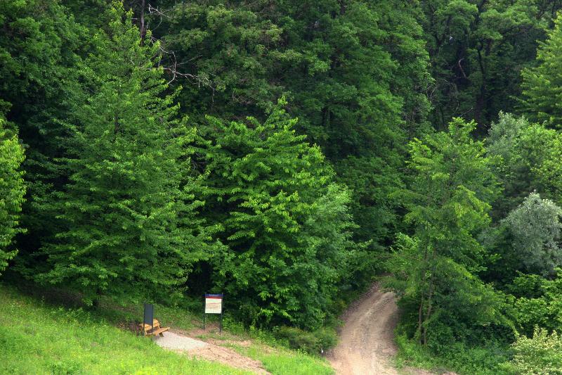 Hotel Diffuso Le Case dei Conti Mirafiore - Aktivite