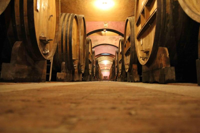 Hotel Diffuso Le Case dei Conti Mirafiore - Genel