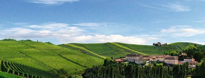 Hotel Diffuso Le Case dei Conti Mirafiore - Genel