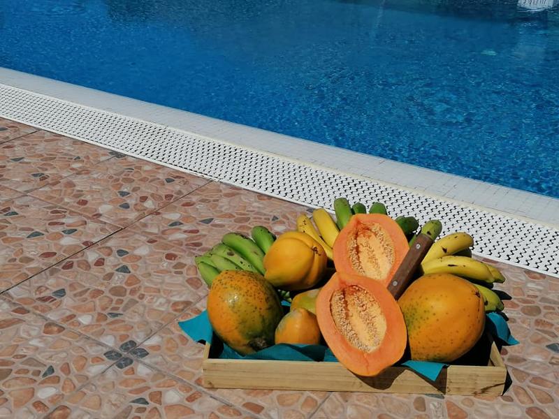 Sol Mogan Suites - Genel