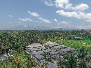 Daun Lebar Villas otel fotoğrafı