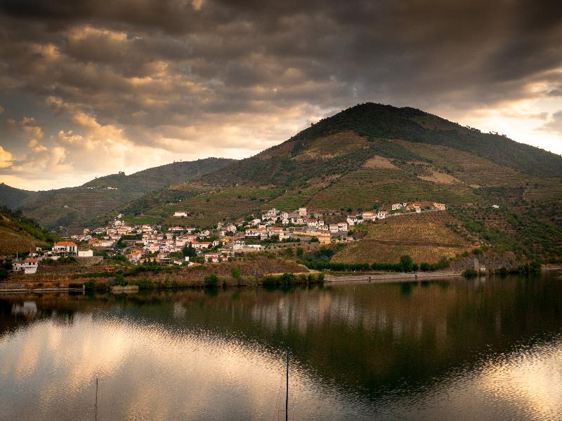 Folgosa Douro Hotel - Genel