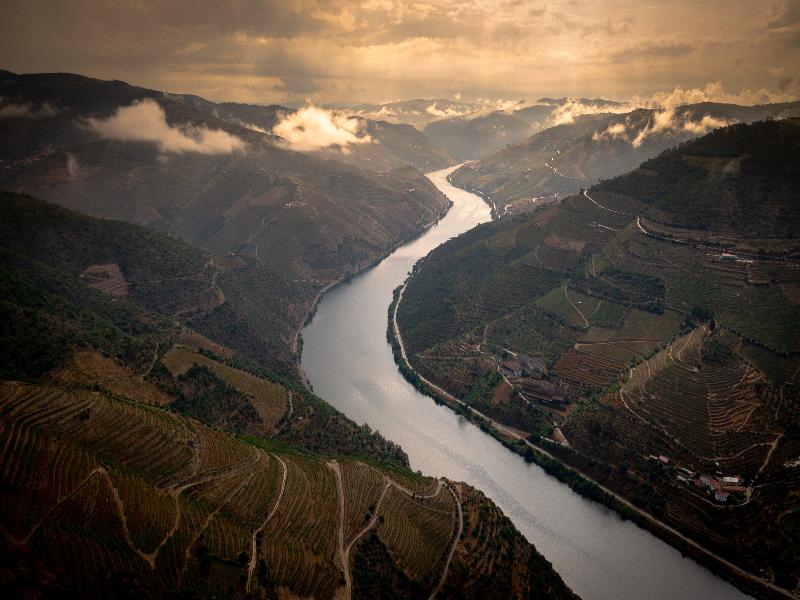 Folgosa Douro Hotel - Genel