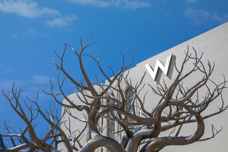 W Muscat - Genel
