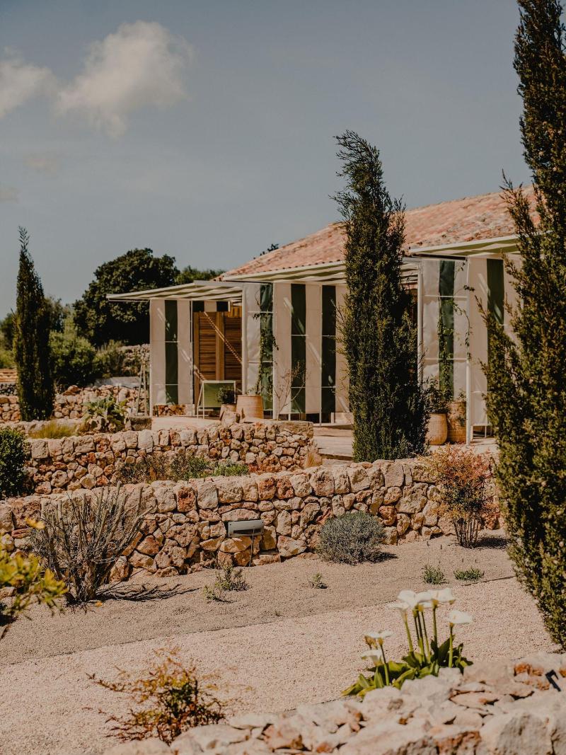 Antic Menorca - Genel