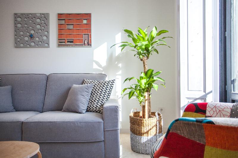 Gran Central Suites - Oda