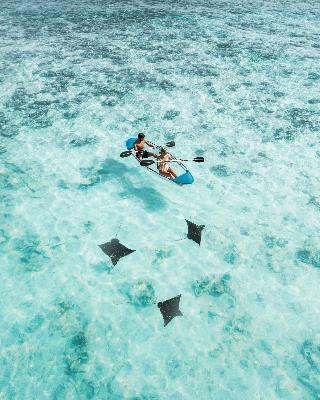 The Halcyon Private Isles Maldives, Autograph Col fotoÄŸrafÄ±