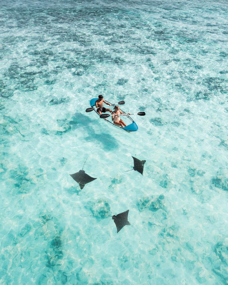 The Halcyon Private Isles Maldives, Autograph Col - Aktivite