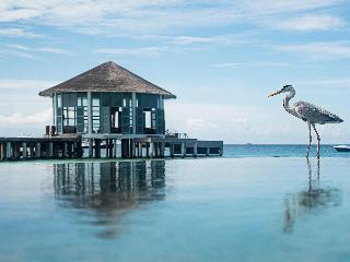 The Halcyon Private Isles Maldives, Autograph Col fotoÄŸrafÄ±