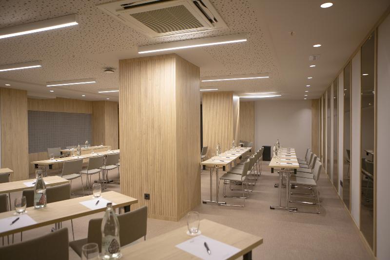 Hotel Riu Plaza España - Toplantı
