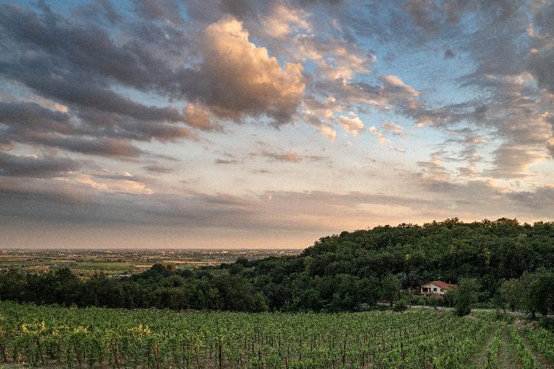 Antico Hotel Alle Acque - Teras