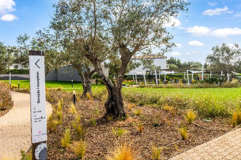 Quinta do Algarvio - Genel