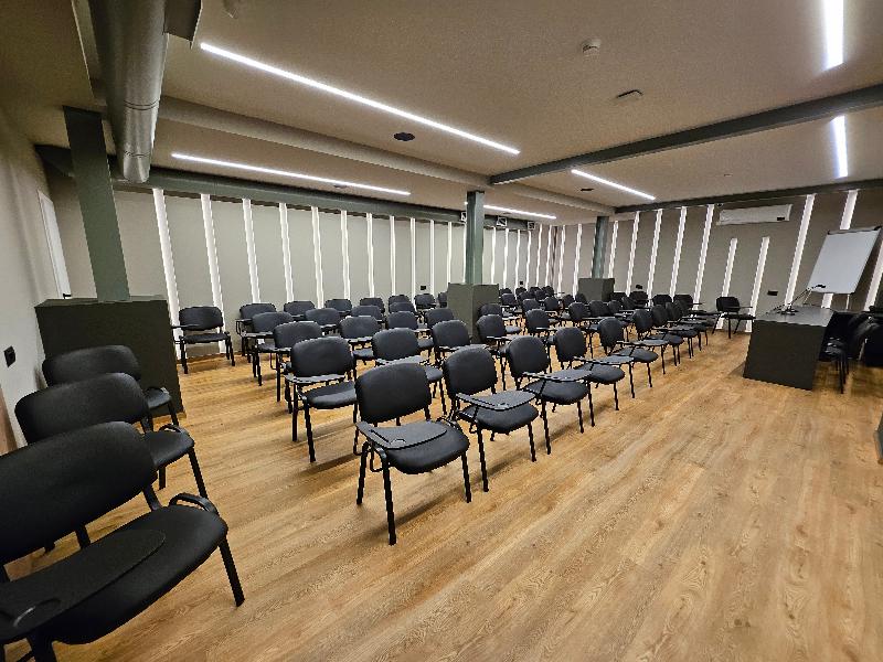 Petousis Hotel & Suites - Toplantı