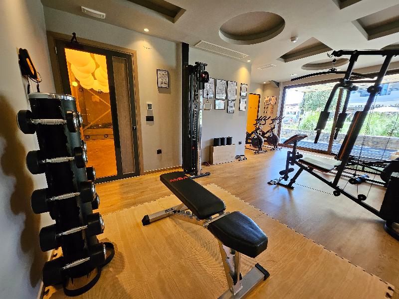Petousis Hotel & Suites - Aktivite