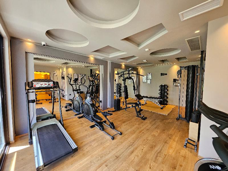 Petousis Hotel & Suites - Aktivite