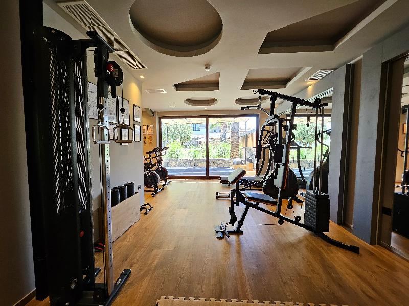 Petousis Hotel & Suites - Aktivite